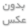 شکل و عکس موریانه خانگی + خطرات[ از بین بردن و دفع موریانه]